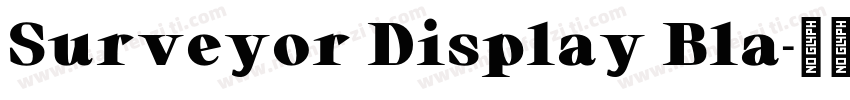 Surveyor Display Bla字体转换